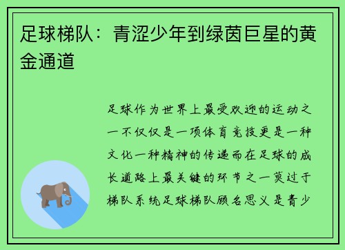 足球梯队：青涩少年到绿茵巨星的黄金通道